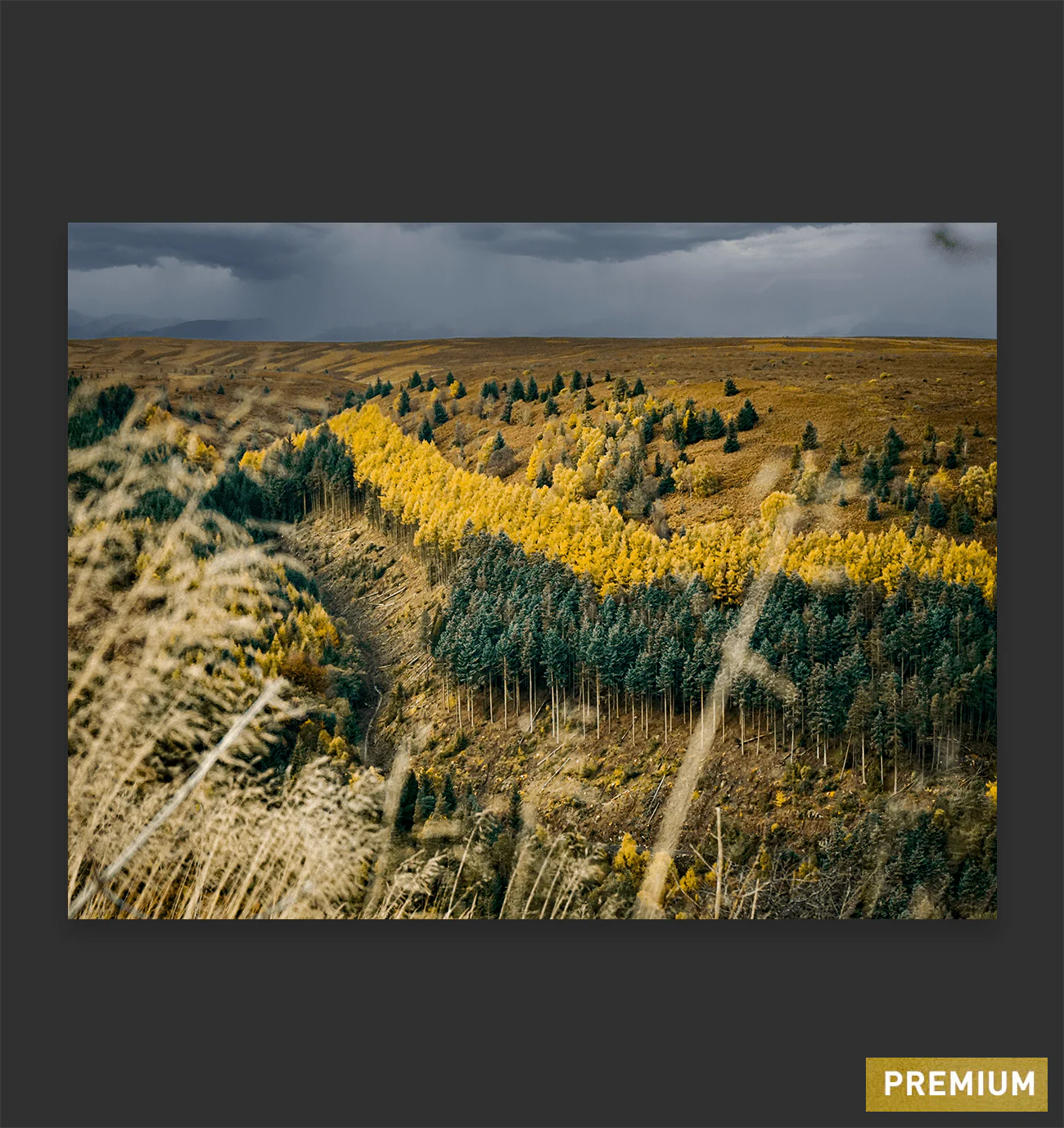 Autumn in Wales - Image 3