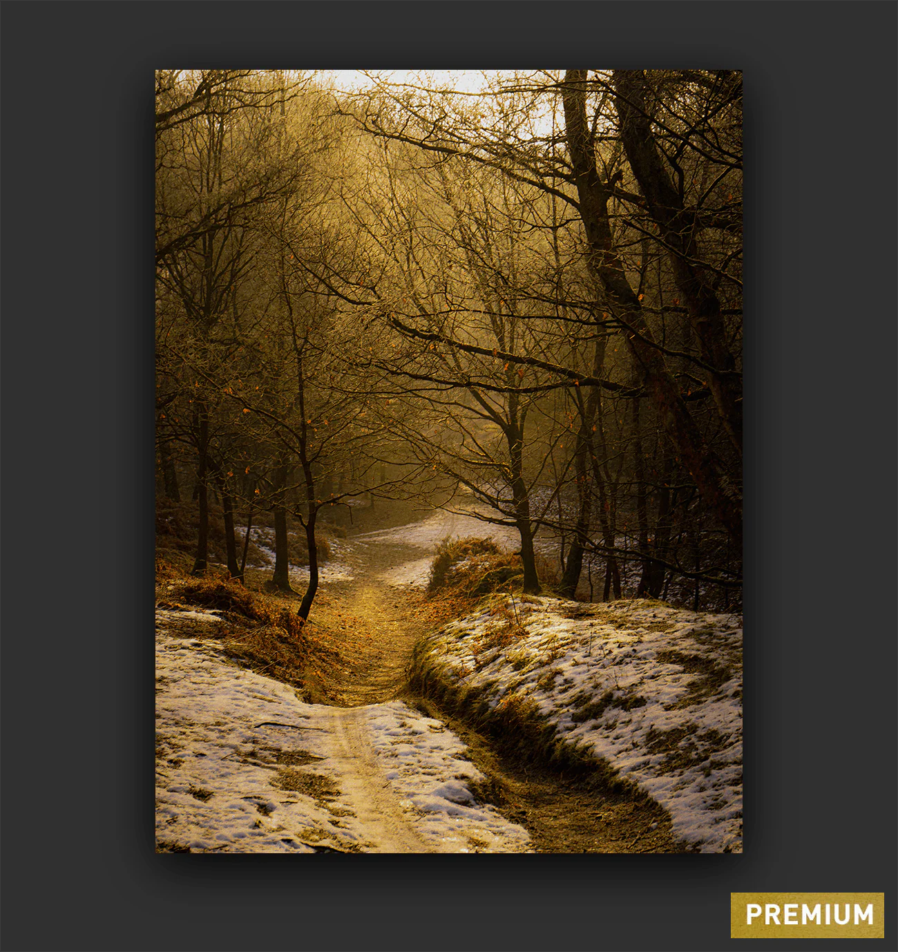 Cannock Chase Trails Art Print - Image 3