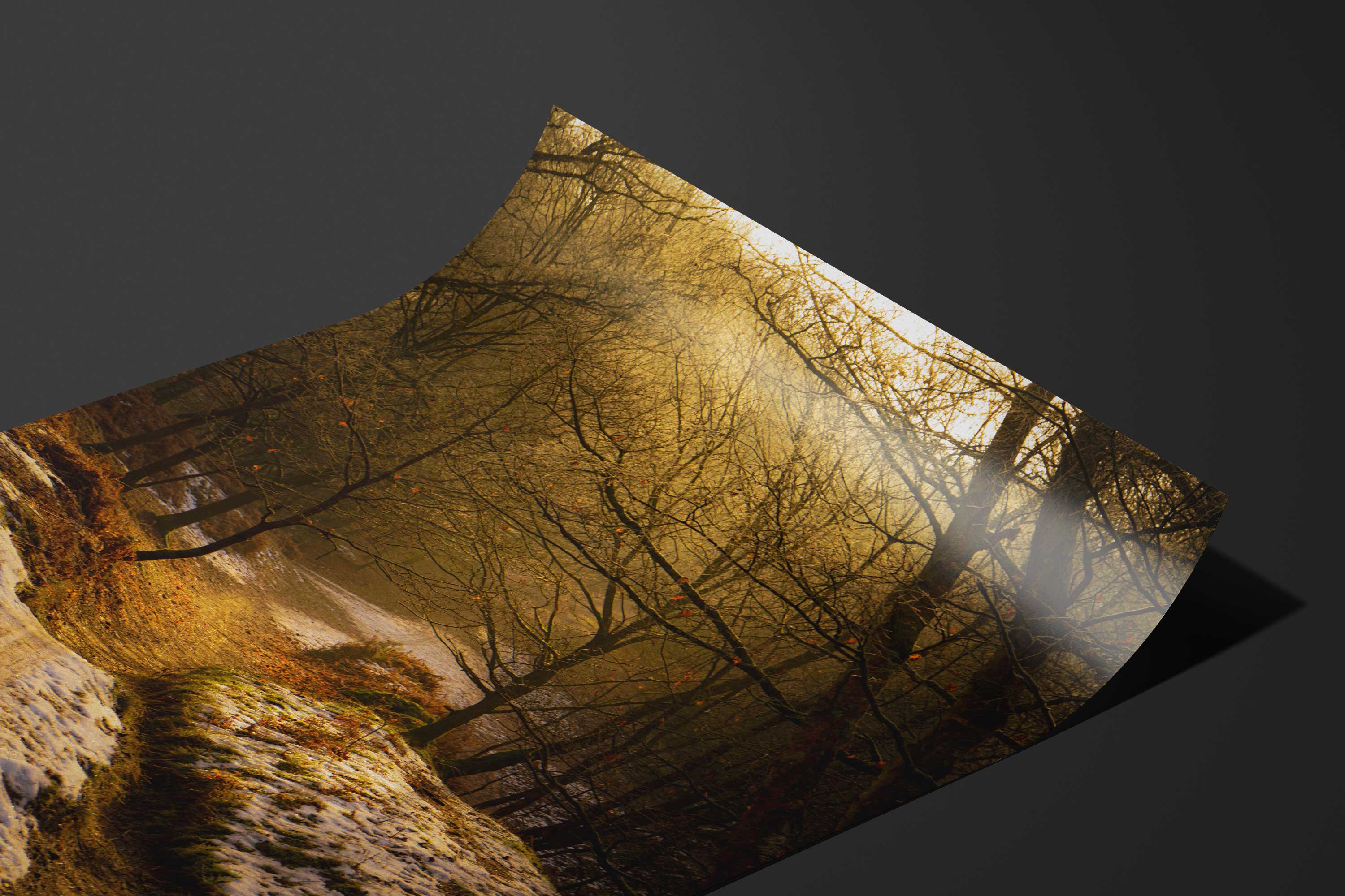 Cannock Chase Trails Art Print - Image 4