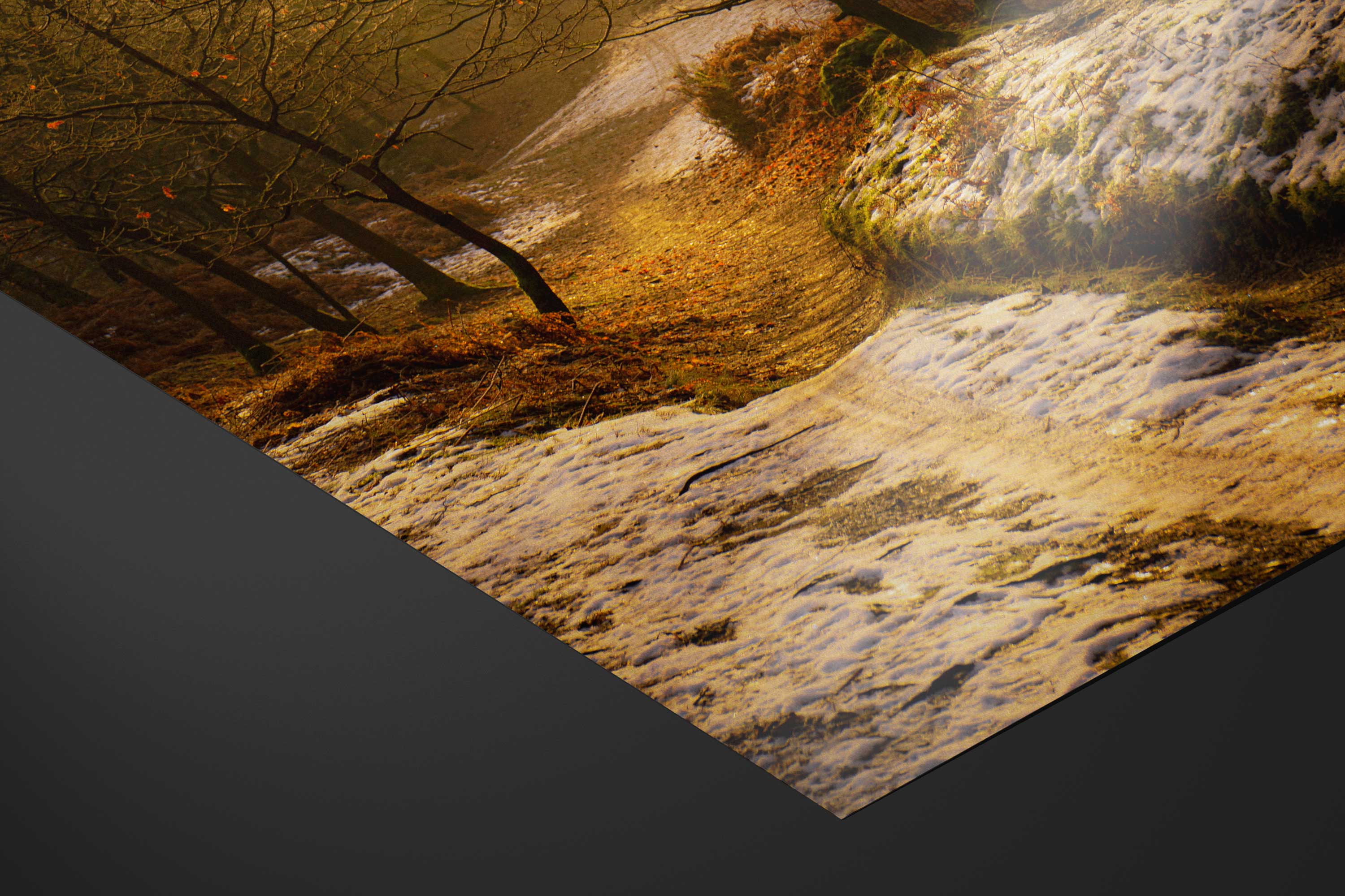 Cannock Chase Trails Art Print - Image 5
